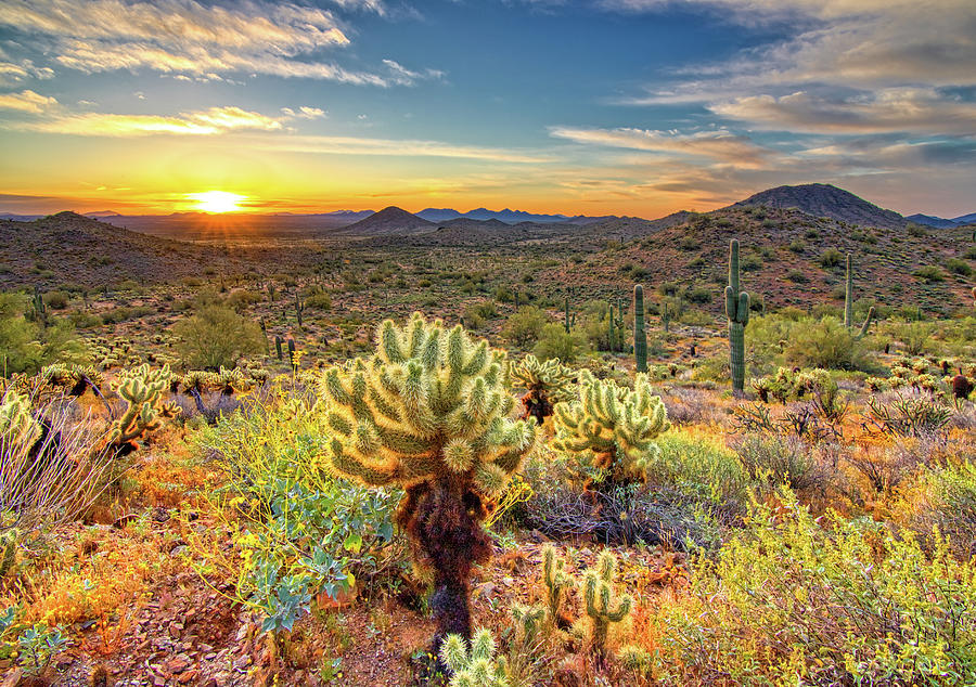 Desert Sunrise Photograph by Bob Falcone