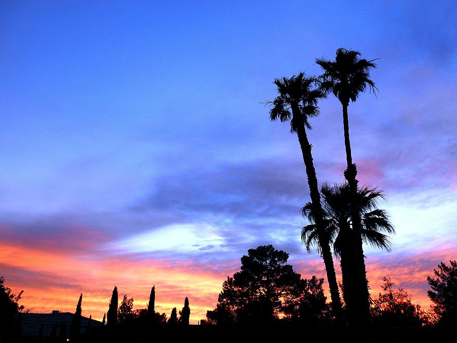Desert Sunset #1 Photograph by Dietmar Scherf