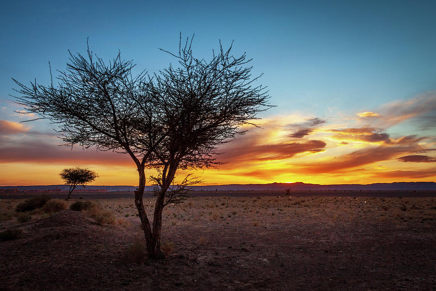 Sunset Photograph - Desert Sunset #1 by Peter OReilly