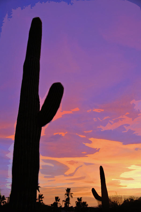 Desert Sunset 2 Cutout Series Photograph by JustJeffAz Photography