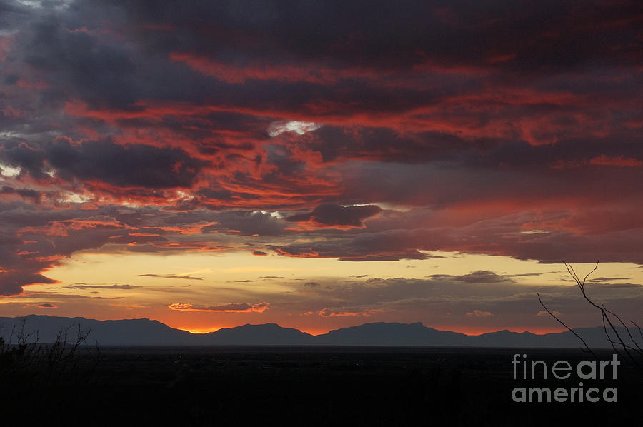Desert sunset 2 Photograph by Ken Kvamme
