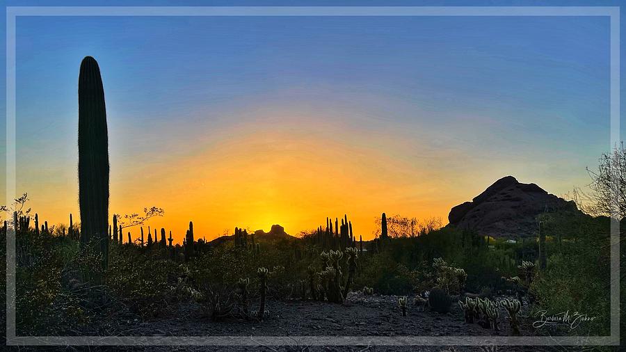 Sunset Photograph - Desert Sunset by Barbara Zahno