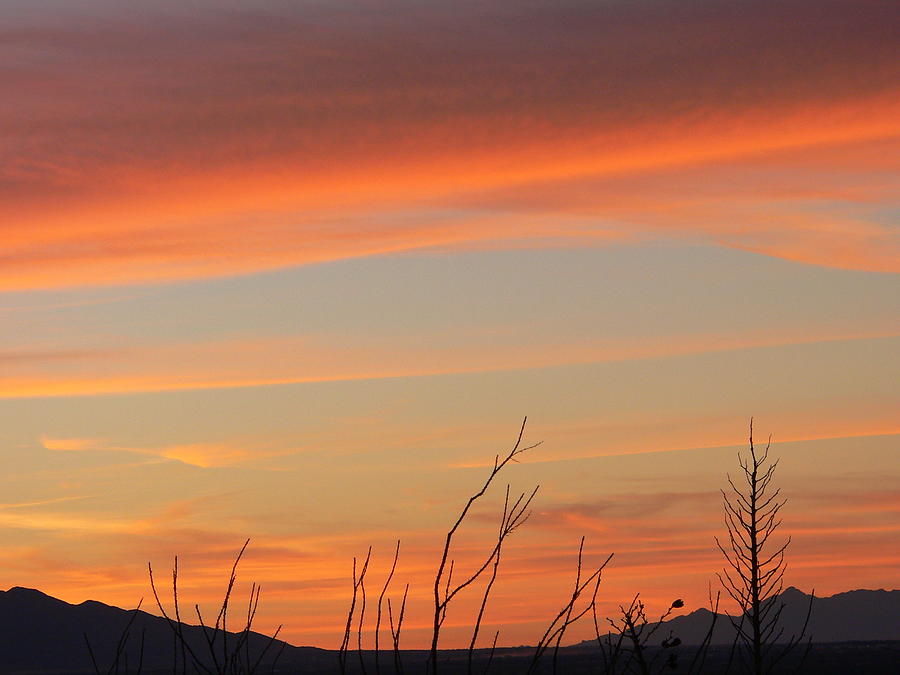Desert Sunset Photograph by Beverly Read