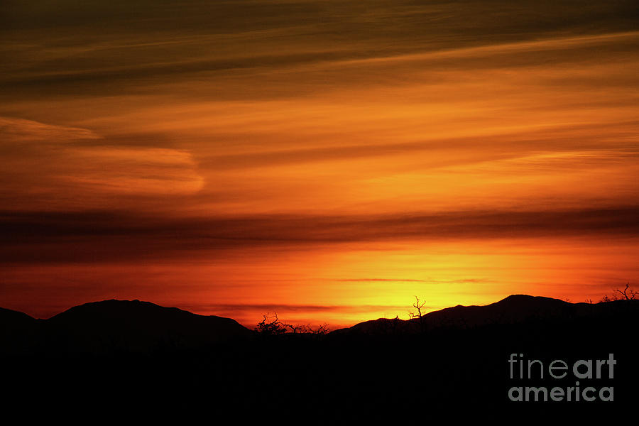 Desert Sunset Photograph by Billy Bateman