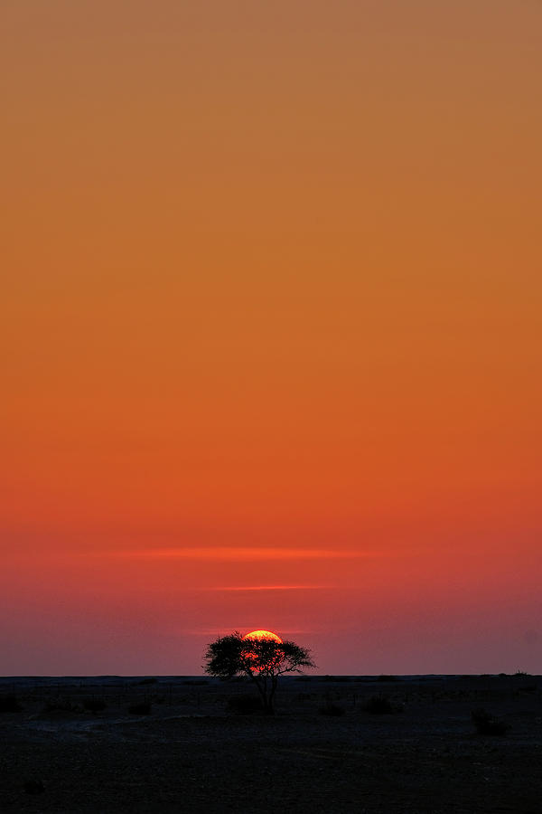 Desert sunset Photograph by Dimitris Paterakis - Fine Art America