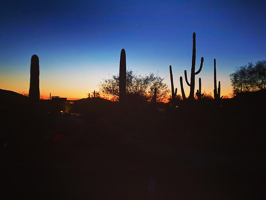 Arizona Desert Sunset Photograph by Donna Spadola