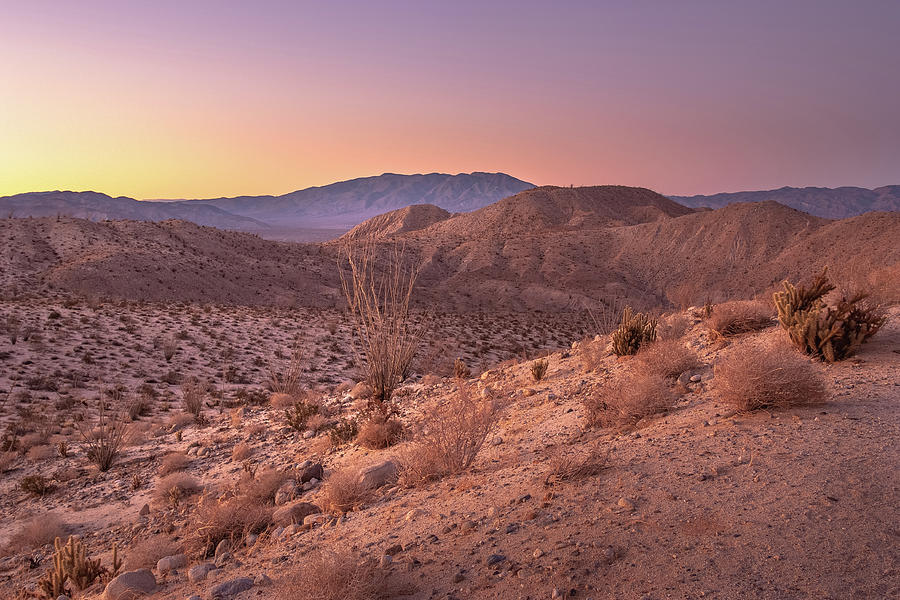 Desert Sunset - Fading Light Photograph by Alexander Kunz