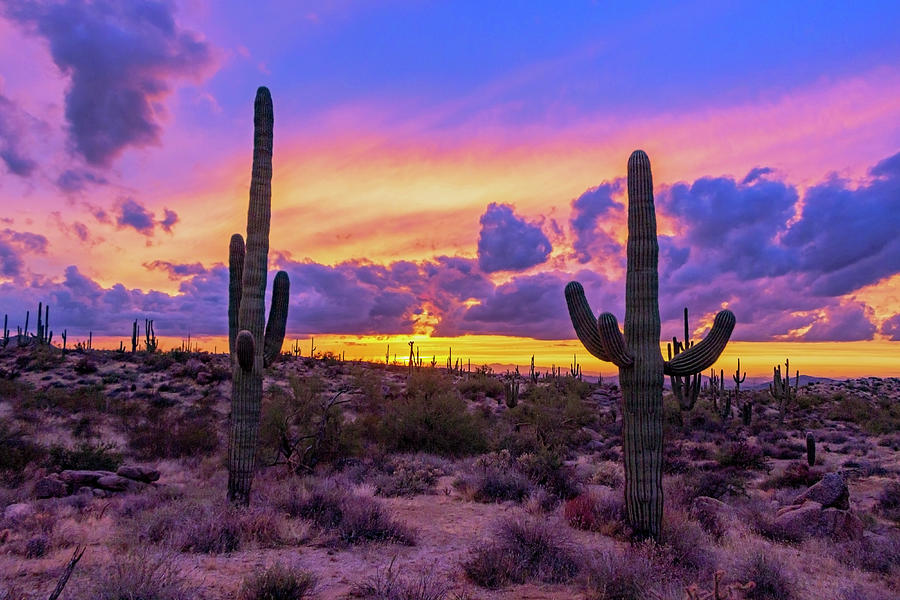 Desert Sunset Landscape In North Scottsdale, AZ Photograph by Ray ...