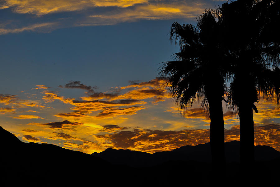 Desert Afterglow on Santa Rosa and San Jacinto Mountains in California Photograph by Bonnie Colgan