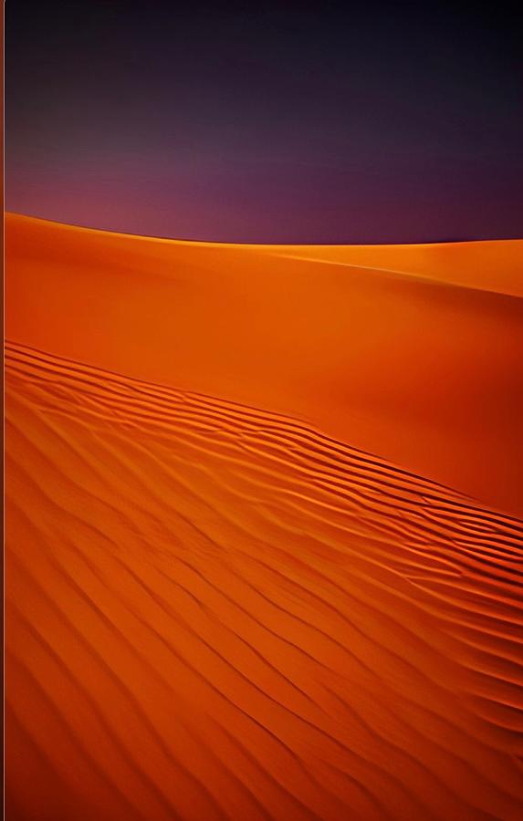 Desert Sunset No3 Painting by Bonnie Bruno
