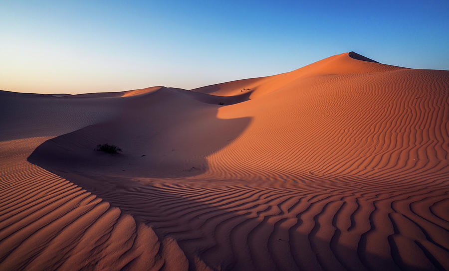 Desert Sunset Photograph by Reinier Snijders