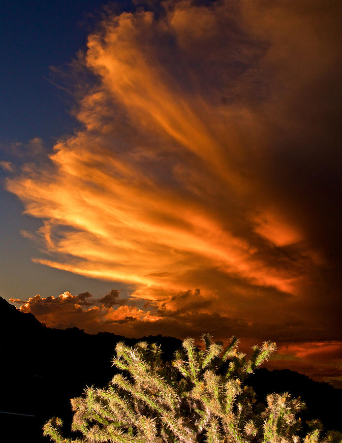 Desert Sunset Photograph By Rudolf Volkmann