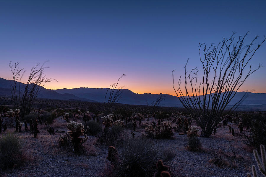 Desert Sunset Photograph by Scott Cunningham