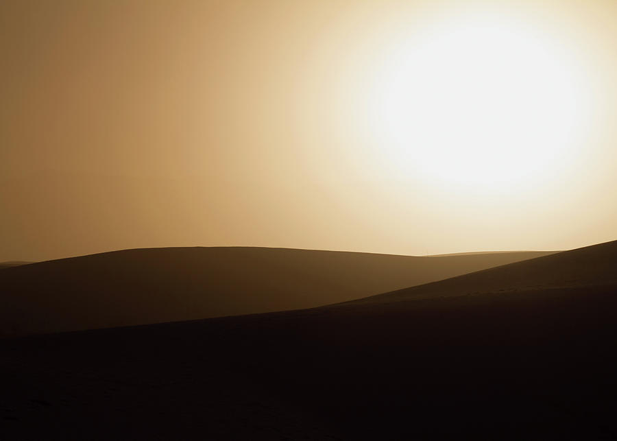 Desert Sunset Photograph by Bill Chizek