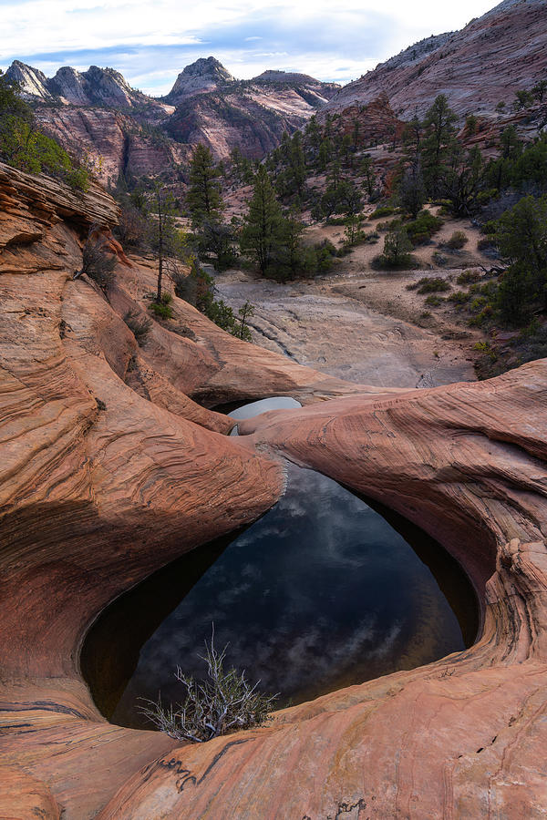 Zion National Park Photograph - Desert Tears by Lawrence Pallant