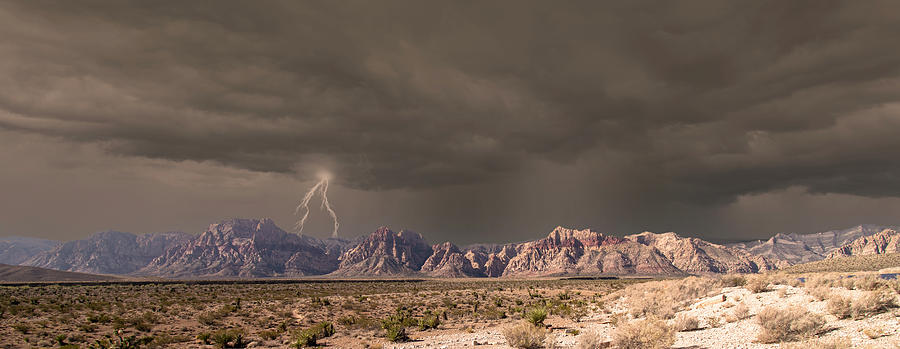 Nature Photograph - Desert Thunder by Frank Wilson