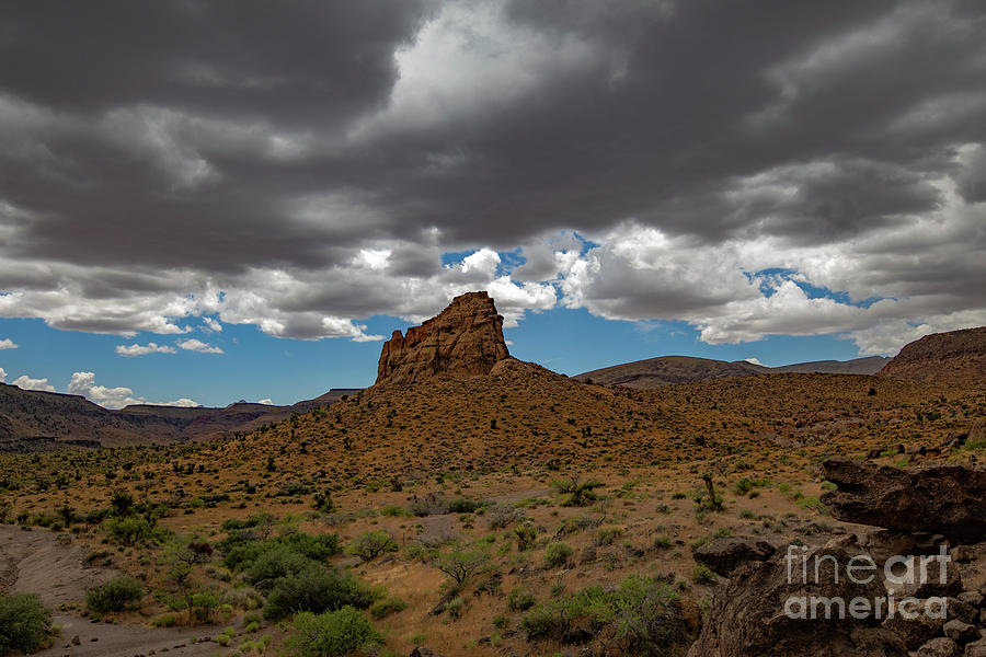 Desert Thunderstorm Photograph by Leia Hewitt - Fine Art America