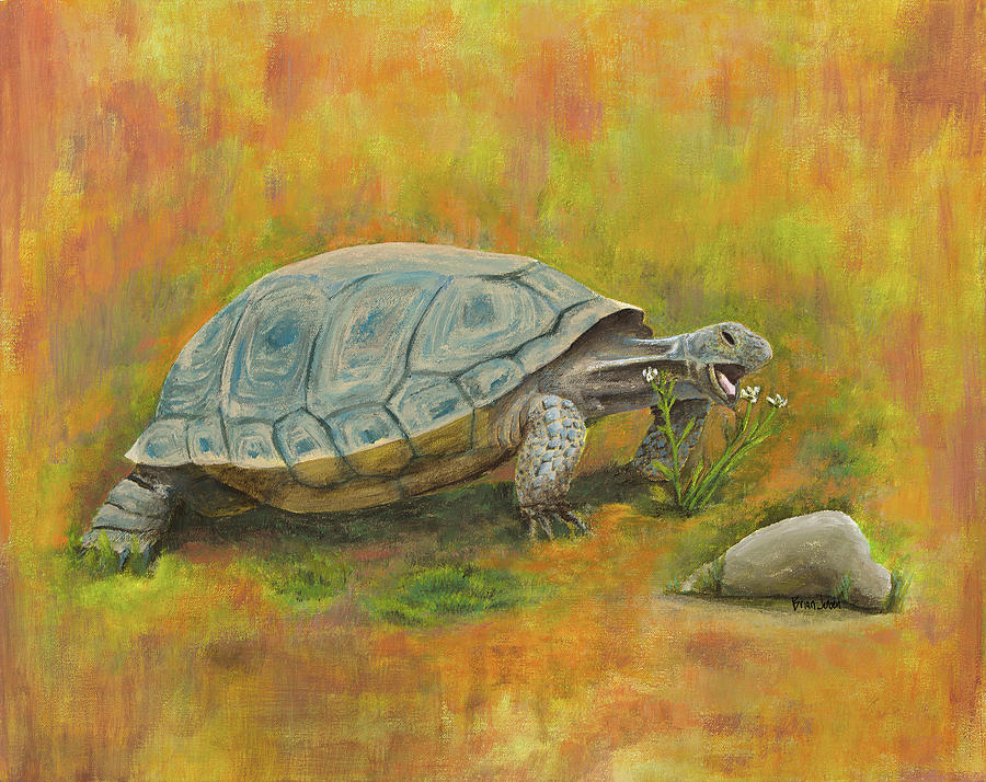 Desert Tortoise Painting by Brian Jensen - Fine Art America