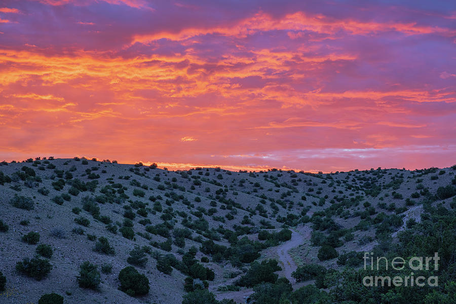 Desert Valley Photograph by Seth Betterly