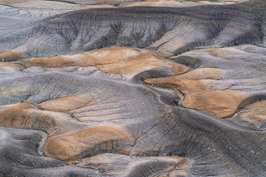 Desert Varnish Photograph by Lawrence Pallant