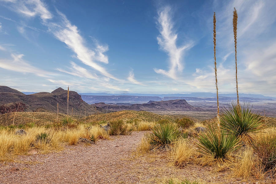 Desert View in Big Bend National Park Photograph by Judy Vincent