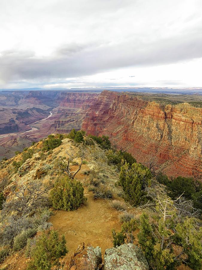 Desert View Point Photograph by Connor Beekman