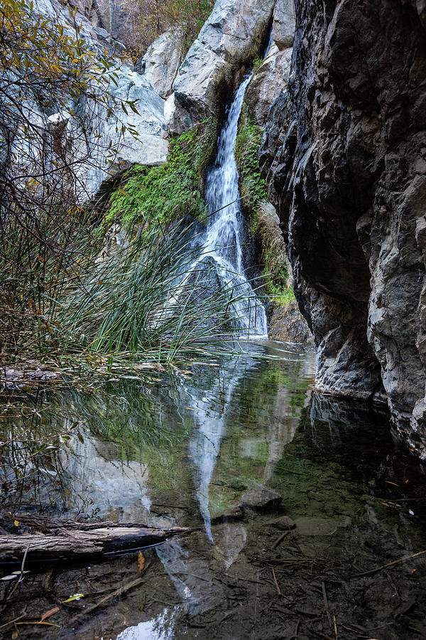 Desert Waterfall Photograph by Craig A Walker