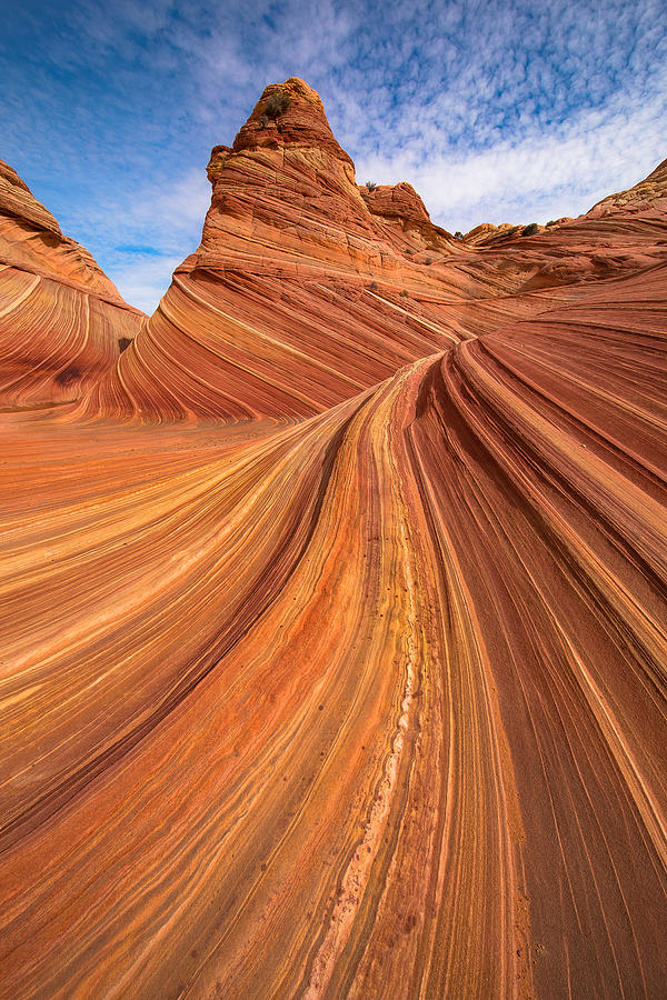 The Wave Photograph - Desert Wave by Ryan Smith