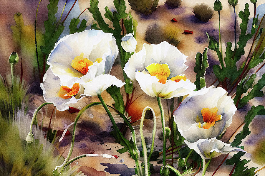 Desert white poppies watercolor Digital Art by Tatiana Travelways