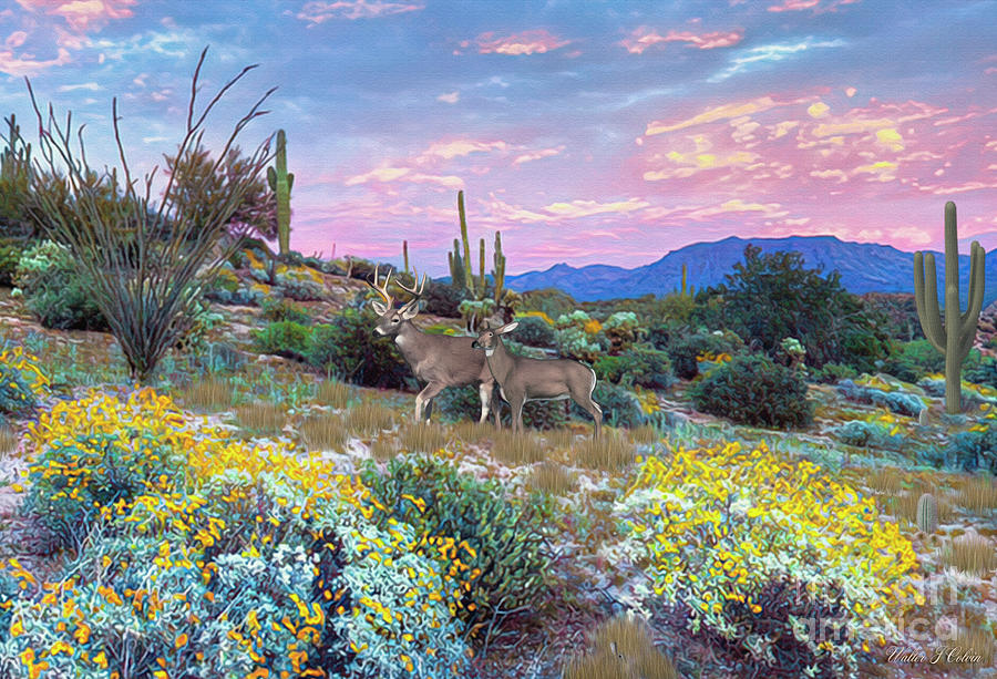Desert Whitetail Deer Digital Art by Walter Colvin