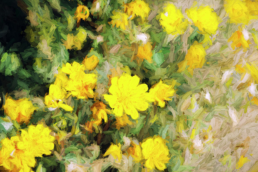 Desert Wildflowers In Bloom Painterly Style Digital Art by Joseph S Giacalone