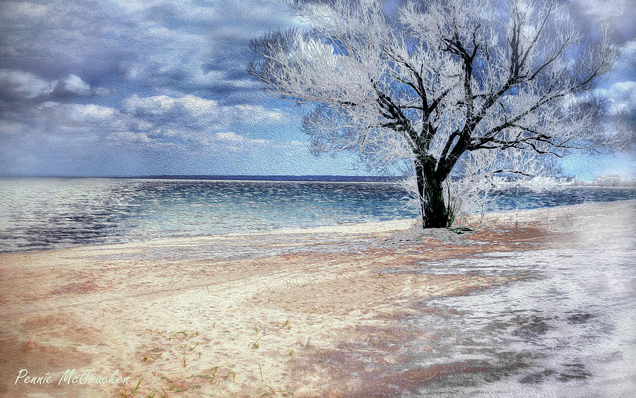 Deserted Beach Digital Art by Pennie McCracken