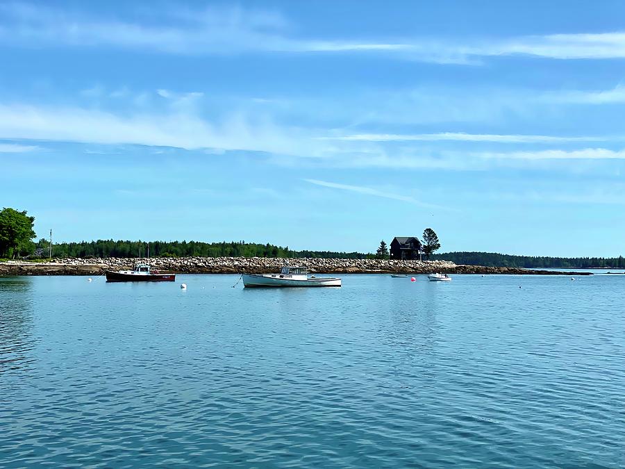 Maine Photograph - Deserted Island ...Mostly by Jonathan Sabin Maine Photograph - Deserted Island ...Mostly by Jonathan Sabin