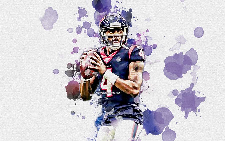 Deshaun Watson Houston Texans Nfl National Football League Derrick ...