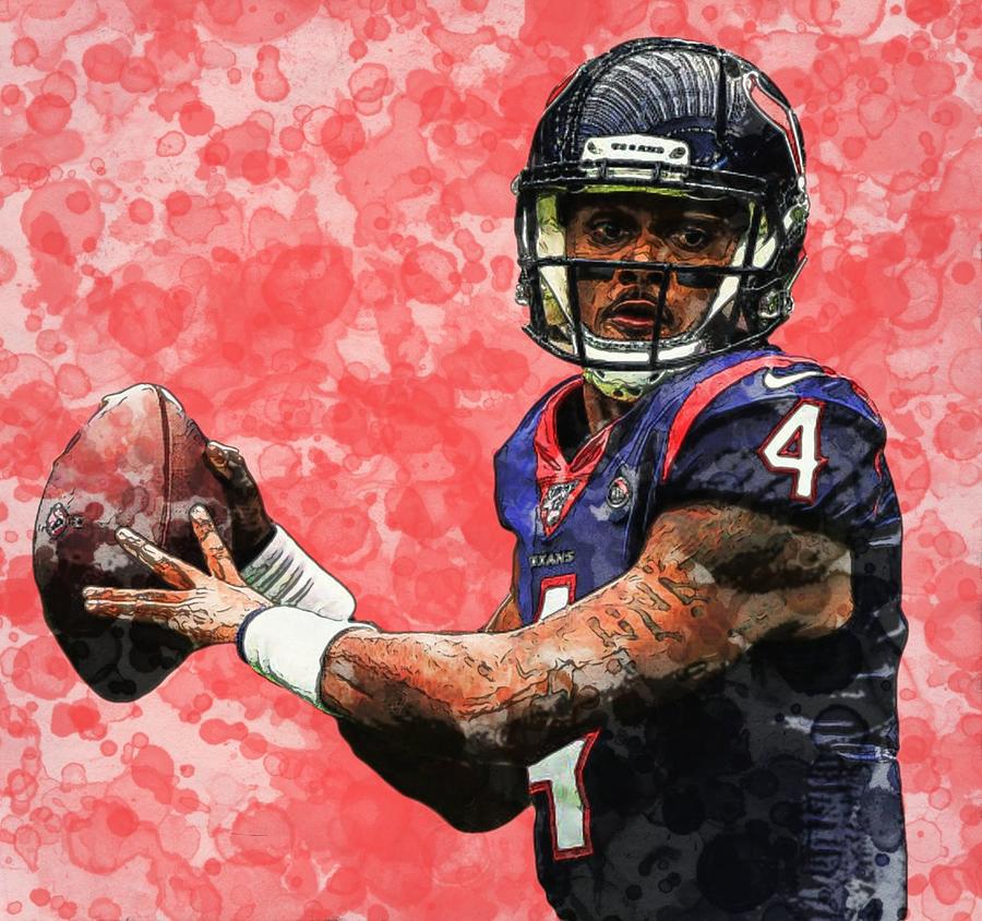 deshaun watson dog jersey