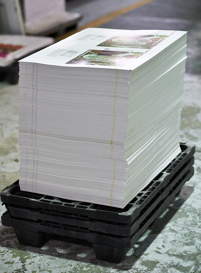 Designed, printed, stacked and ready to go Photograph by Yuri_Arcurs