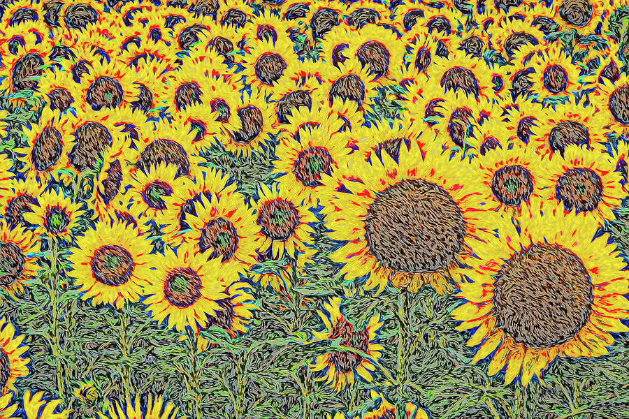 Designs on Sunflowers Digital Art by Douglas Wielfaert