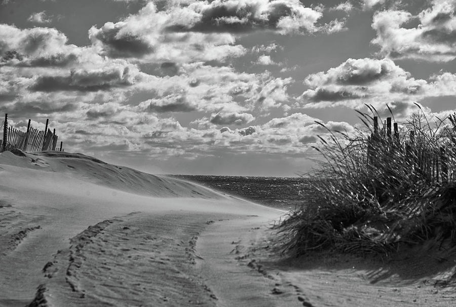 Desolate Dunes Photograph by Richard Worthington