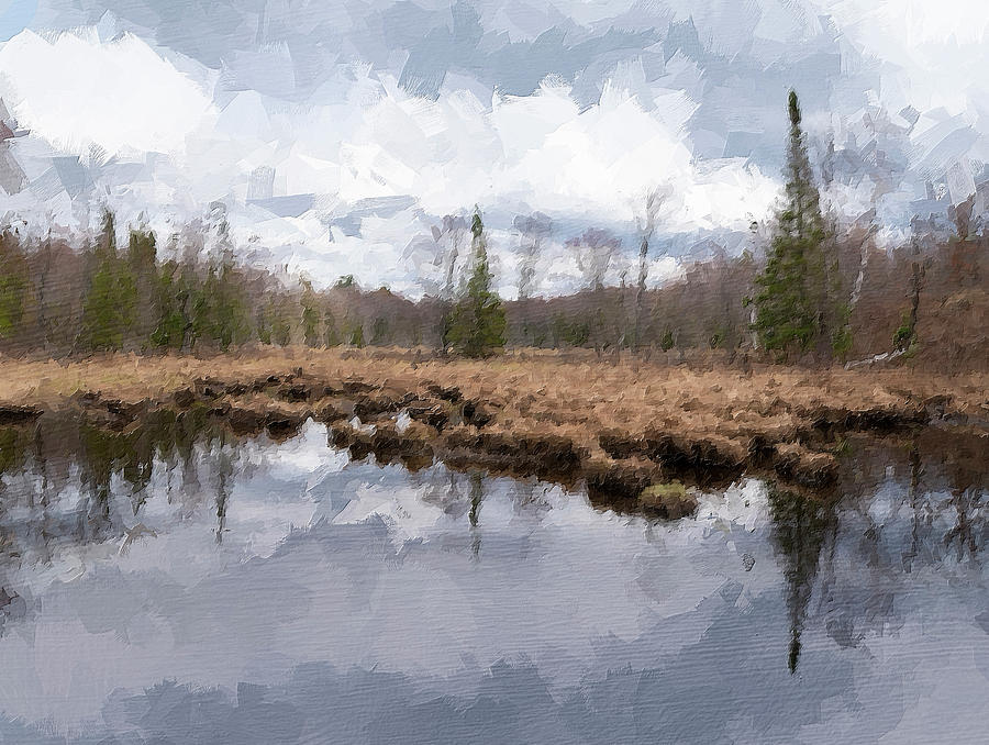 Desolate Swamp In A Forest In Ontario Oil Painting Photograph