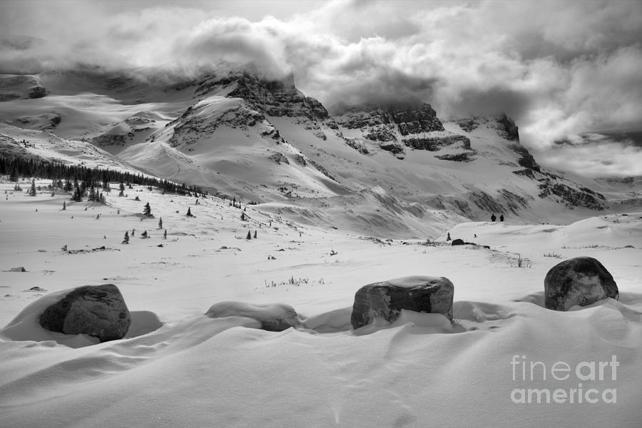 Desolate Winter Black And White Photograph by Adam Jewell