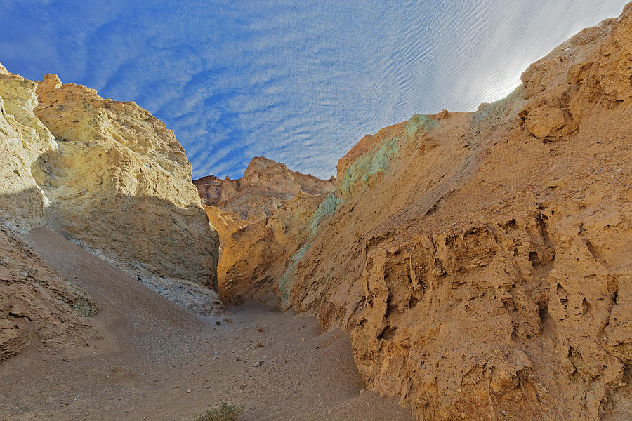 Desolation Canyon Photograph by Tom Daniel