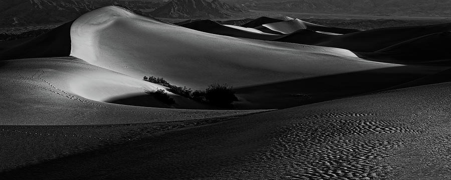 Desolation Mesquite Flat Sand Dunes  Photograph by George Buxbaum