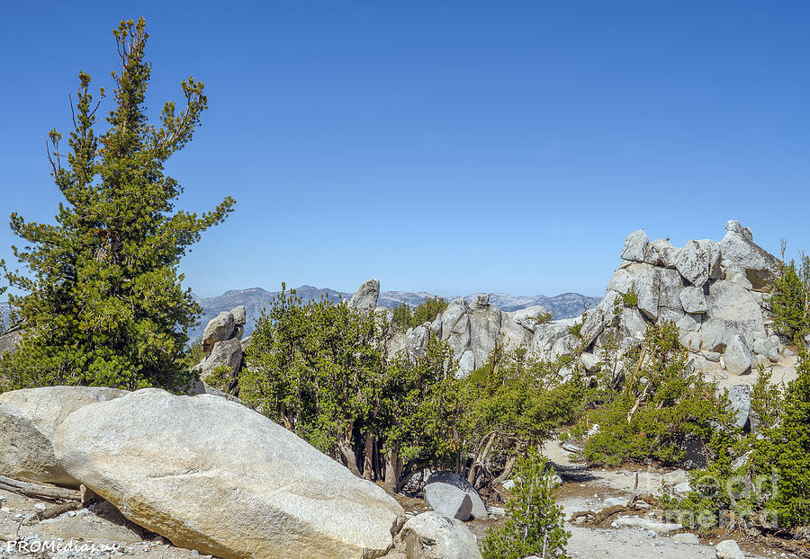 Desolation Wilderness In The Background As Seen From About 10,000 Feet Elevation Photograph