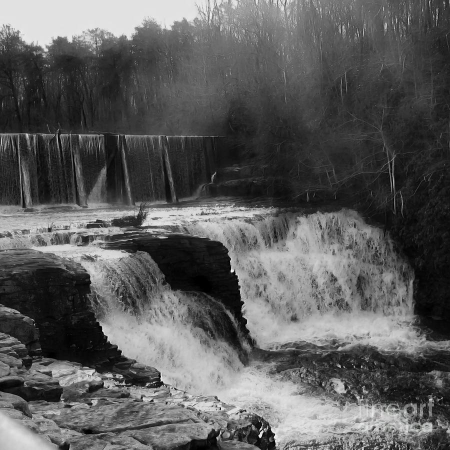 DeSoto Falls Black And White Levels One And Two Photograph by Rachel ...