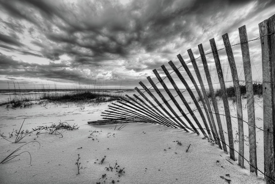 Destin Beach Fence Black and White Photograph by JC Findley