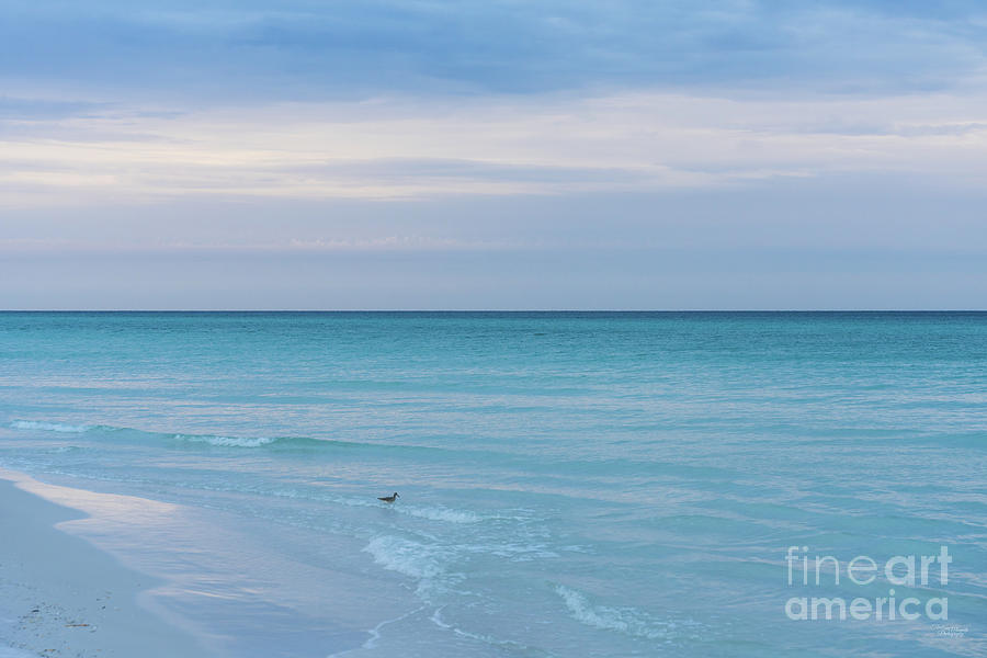 Destin Florida Sandpiper Sunrise Photograph by Jennifer White