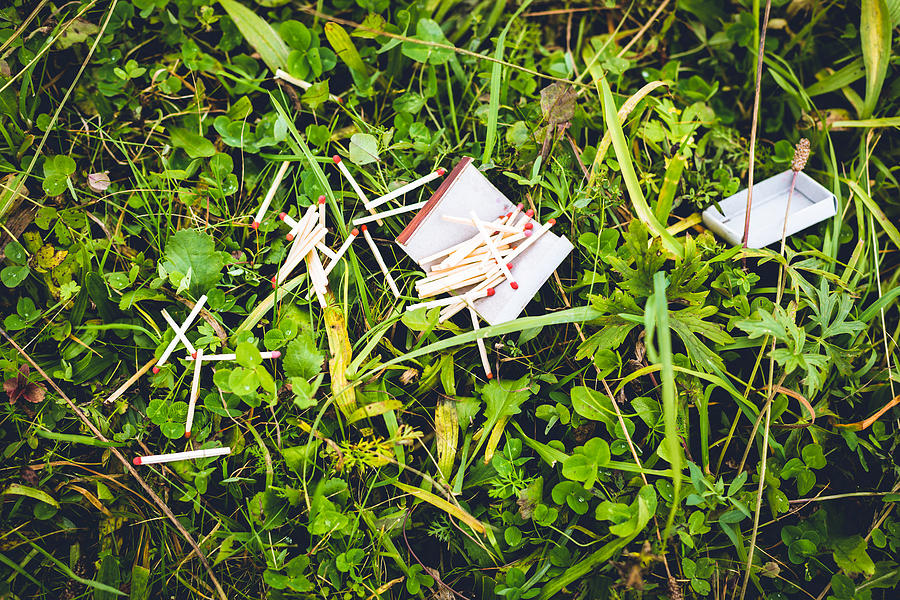 Destroyed box of matches on the green grass. Photograph by Rrvachov