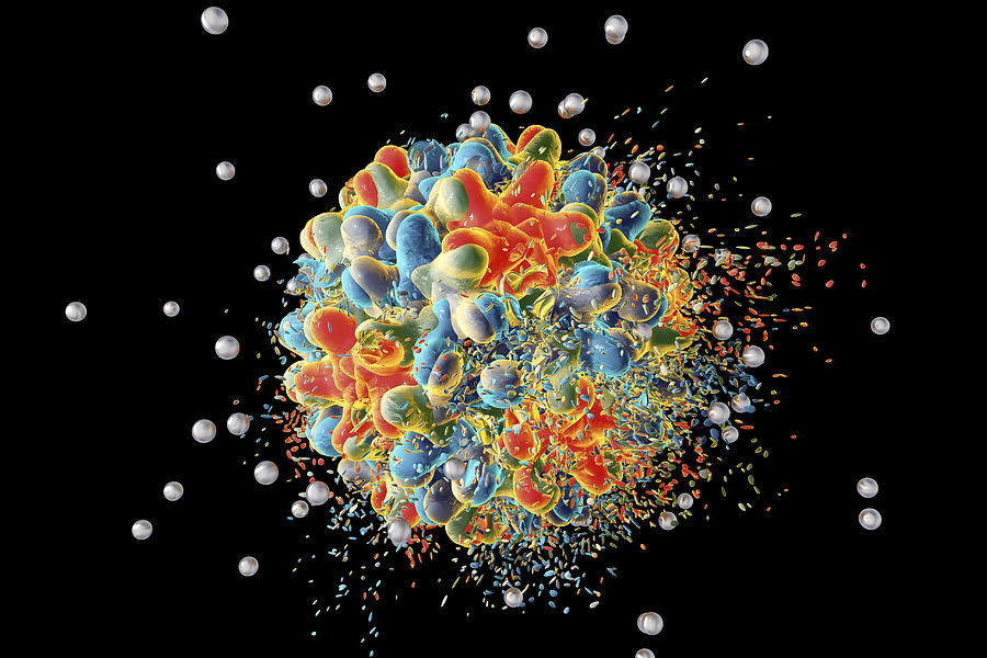 Destruction of hepatitis B virus, illustration Drawing by Kateryna Kon/science Photo Library