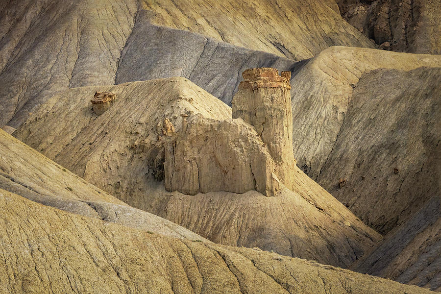 Detail at Mount Garfield, Palisade, Colorado Photograph by Patti Deters