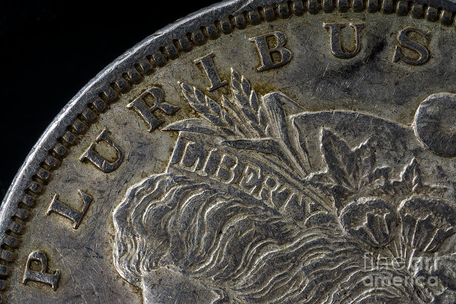 Detail Macro Shot of Liberty Morgan Dollar Pluribus Liberty Black Photograph by Pablo Avanzini